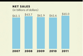 Net Sales